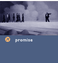 promise